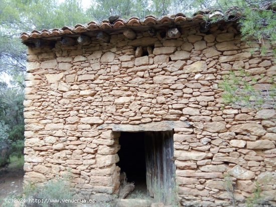  Finca en venta en Fórnoles (Teruel) 