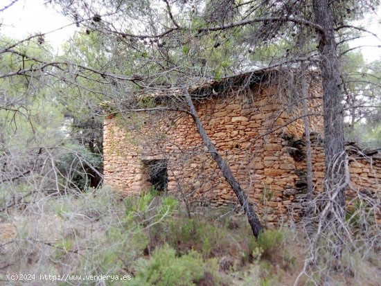 Finca en venta en Fórnoles (Teruel)