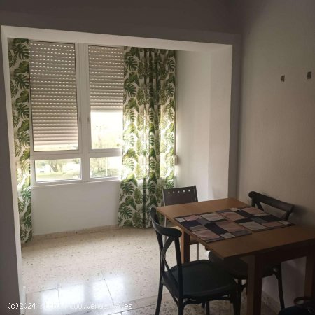 Estudio en alquiler en Benalmádena (Málaga)