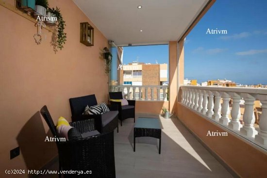  Apartamento en alquiler en Orihuela (Alicante) 