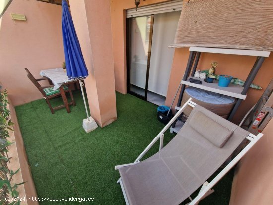  Estudio en venta en Torrevieja (Alicante) 