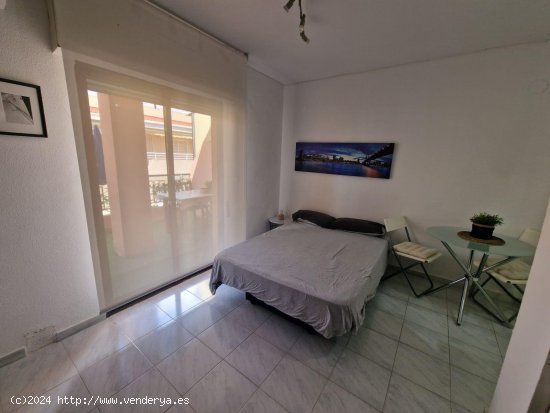 Estudio en venta en Torrevieja (Alicante)