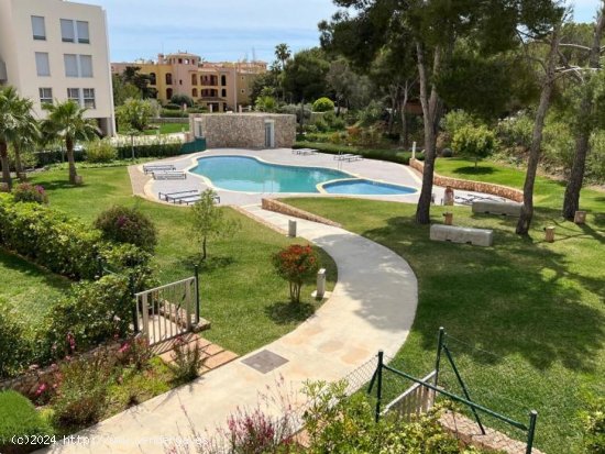  Apartamento en alquiler en Calvià (Baleares) 