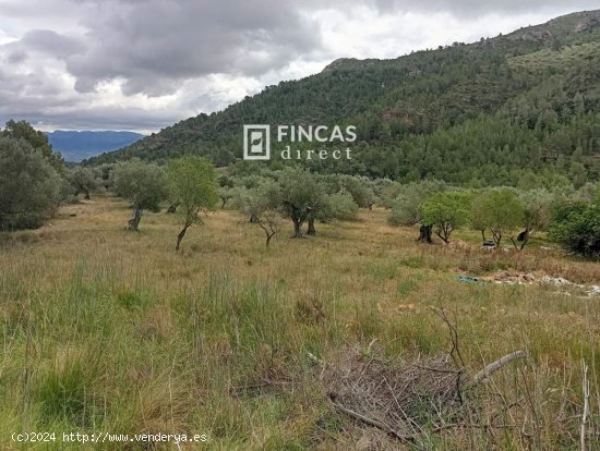 Finca en venta en Alfara de Carles (Tarragona)