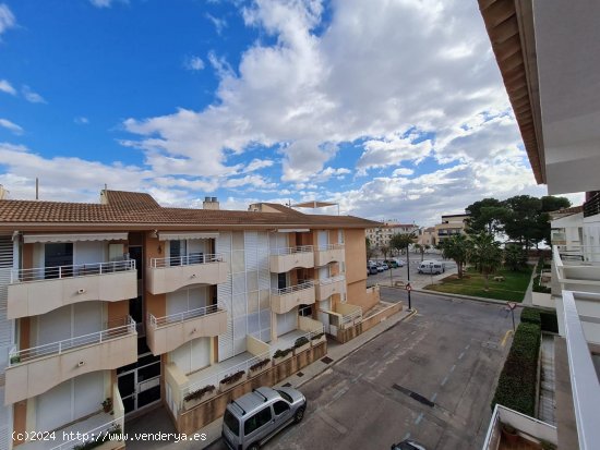 Apartamento en alquiler en Colonia de Sant Jordi (Baleares)