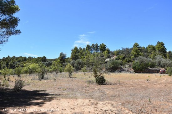  Finca en venta en Lledó (Teruel) 