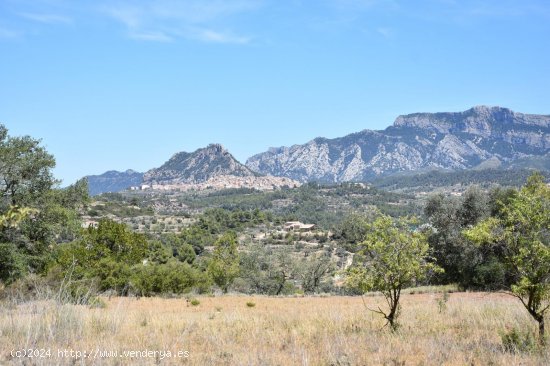 Finca en venta en Lledó (Teruel)