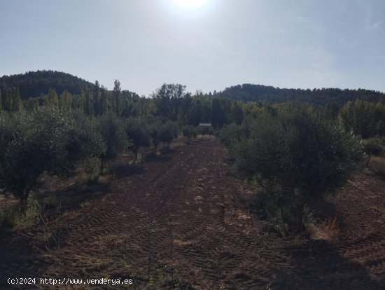 Finca en venta en Torre del Compte (Teruel)