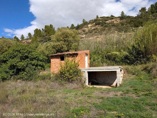  Finca en venta en Torre del Compte (Teruel) 