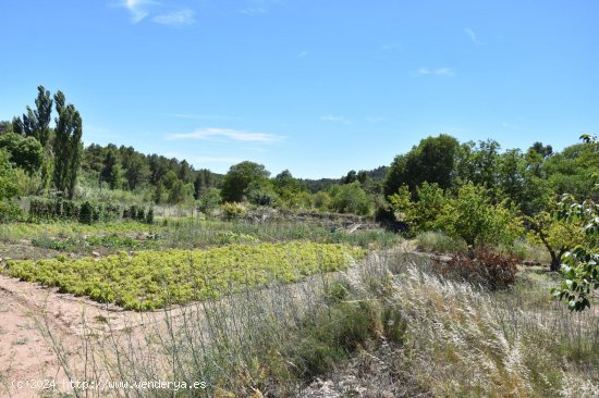 Finca en venta en Lledó (Teruel)