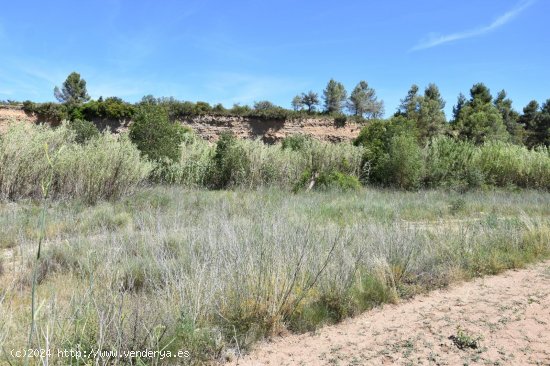 Finca en venta en Lledó (Teruel)