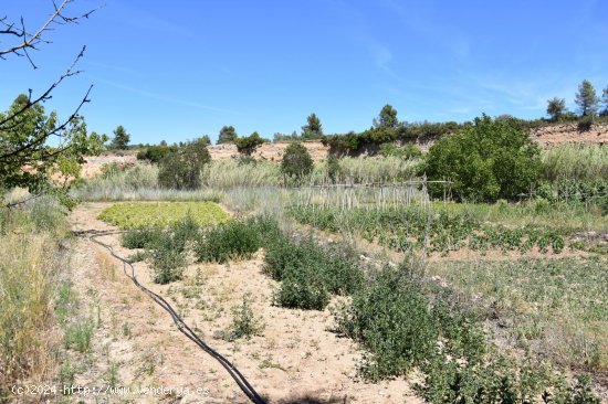 Finca en venta en Lledó (Teruel)