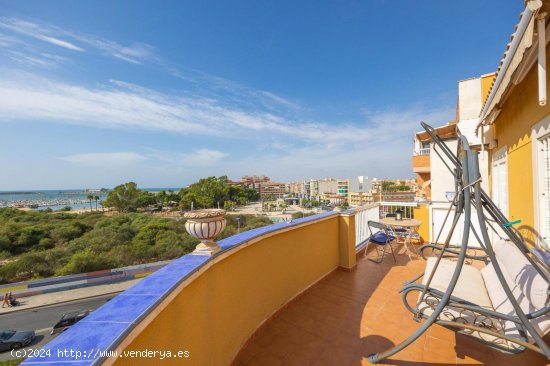 Apartamento en venta en Torrevieja (Alicante)