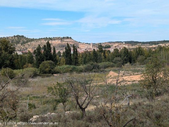 Finca en venta en Valderrobres (Teruel)