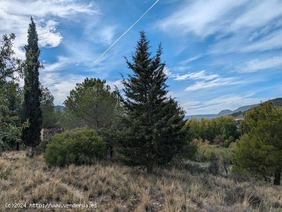 Finca en venta en Valderrobres (Teruel)