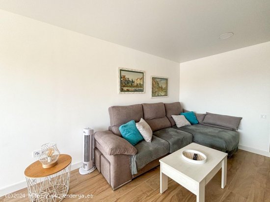 Apartamento en alquiler en Torrevieja (Alicante)