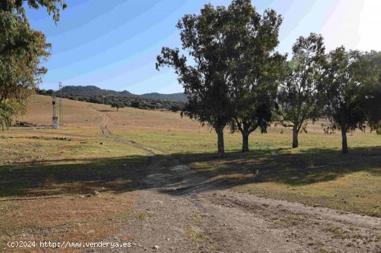 Finca en venta en Vilches (Jaén)