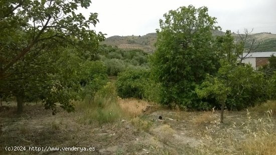 Finca en venta en Quesada (Jaén)