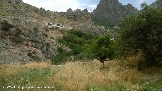 Finca en venta en Quesada (Jaén)