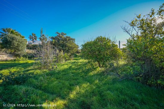 Parcela en venta en Jávea (Alicante)