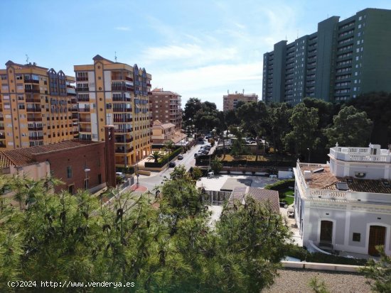  Apartamento en alquiler en Benicasim (Castellón) 