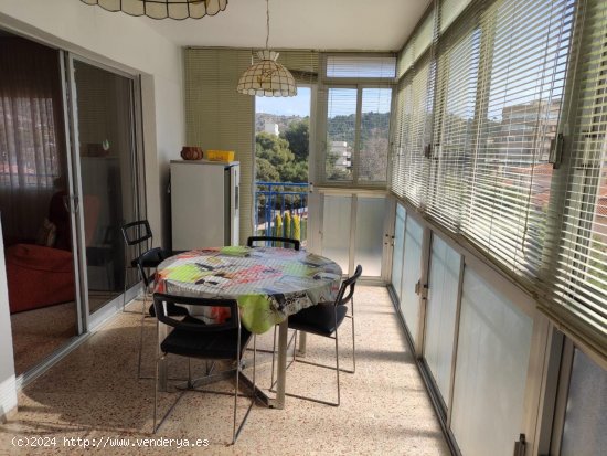 Apartamento en alquiler en Benicasim (Castellón)