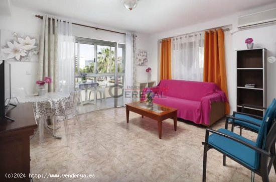  Apartamento en alquiler en Algarrobo (Málaga) 