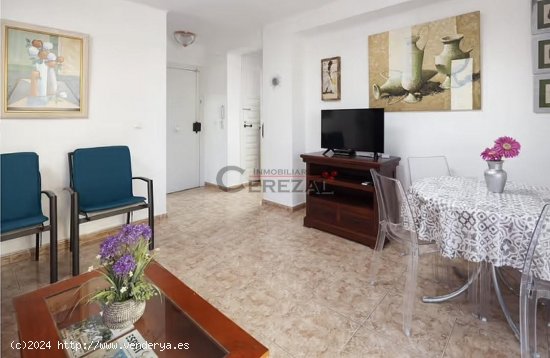 Apartamento en alquiler en Algarrobo (Málaga)