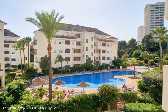  Apartamento en alquiler en Marbella (Málaga) 