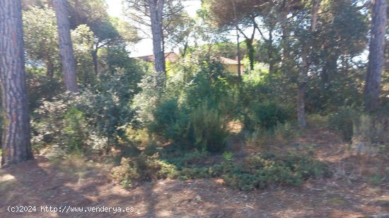 Parcela en venta en Vidreres (Girona)