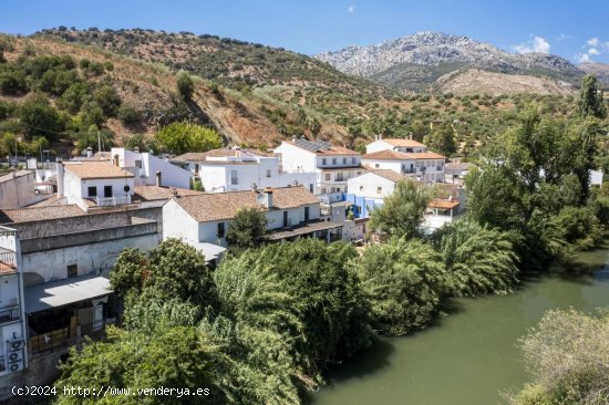  Villa en venta en Cortes de la Frontera (Málaga) 