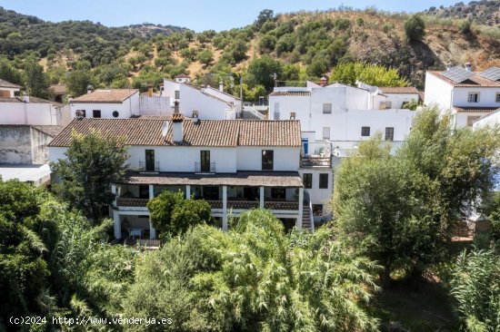 Villa en venta en Cortes de la Frontera (Málaga)