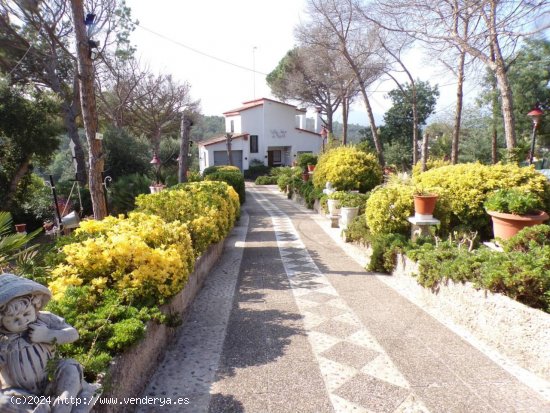  Casa en venta en Maçanet de la Selva (Girona) 