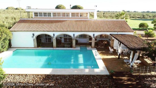 Finca en venta en Aznalcázar (Sevilla)