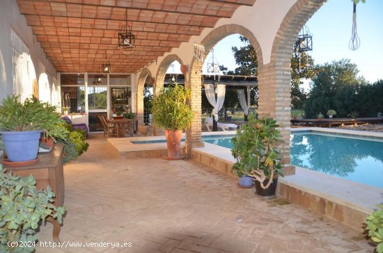 Finca en venta en Aznalcázar (Sevilla)