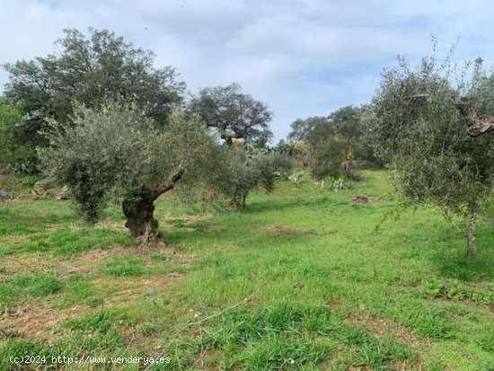 Villa en venta en Valencia de Alcántara (Cáceres)