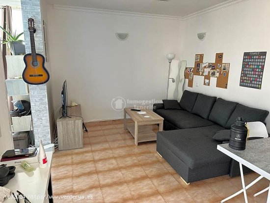 Loft en alquiler en Arona (Tenerife)