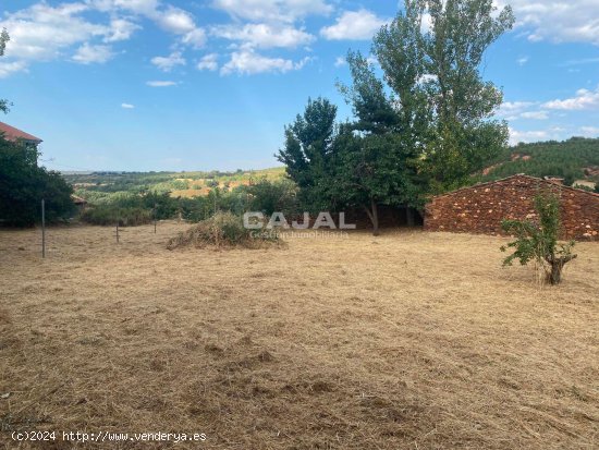 Parcela en venta en Riaza (Segovia)