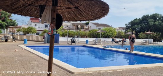 Chalet en venta en Torrevieja (Alicante)