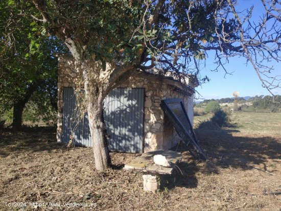 Finca en venta en Vallmoll (Tarragona)