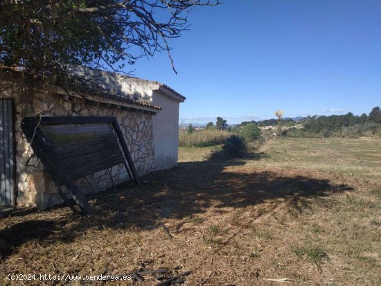 Finca en venta en Vallmoll (Tarragona)