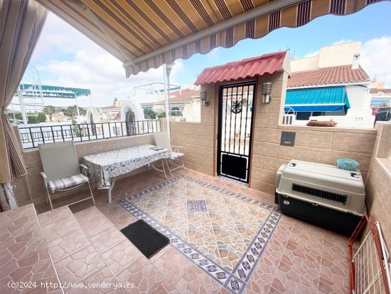 Chalet en venta en Torrevieja (Alicante)