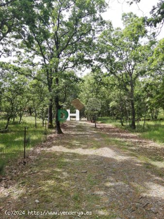 Villa en venta en Moraleja (Cáceres)