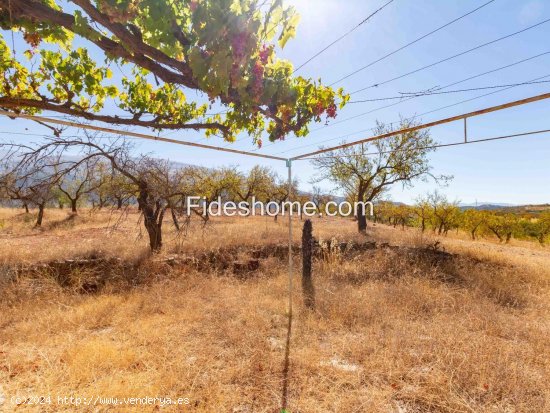 Finca en venta en Nigüelas (Granada)