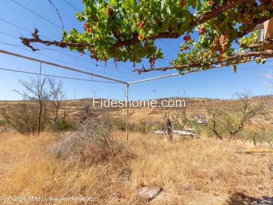 Finca en venta en Nigüelas (Granada)