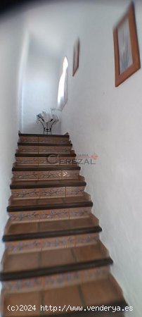 Casa en alquiler en El Borge (Málaga)