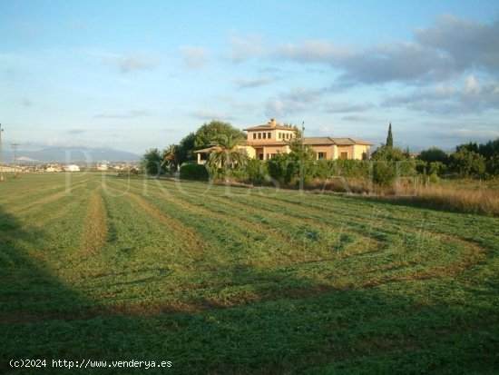 Finca en venta en Palma de Mallorca (Baleares)