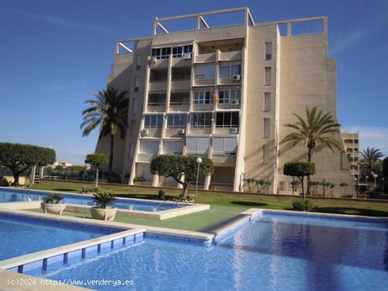  Apartamento en venta en Torrevieja (Alicante) 