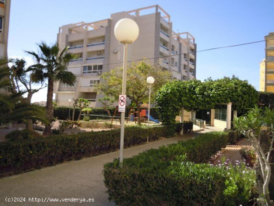 Apartamento en venta en Torrevieja (Alicante)