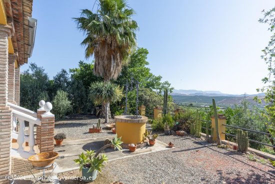 Finca en venta en Álora (Málaga)